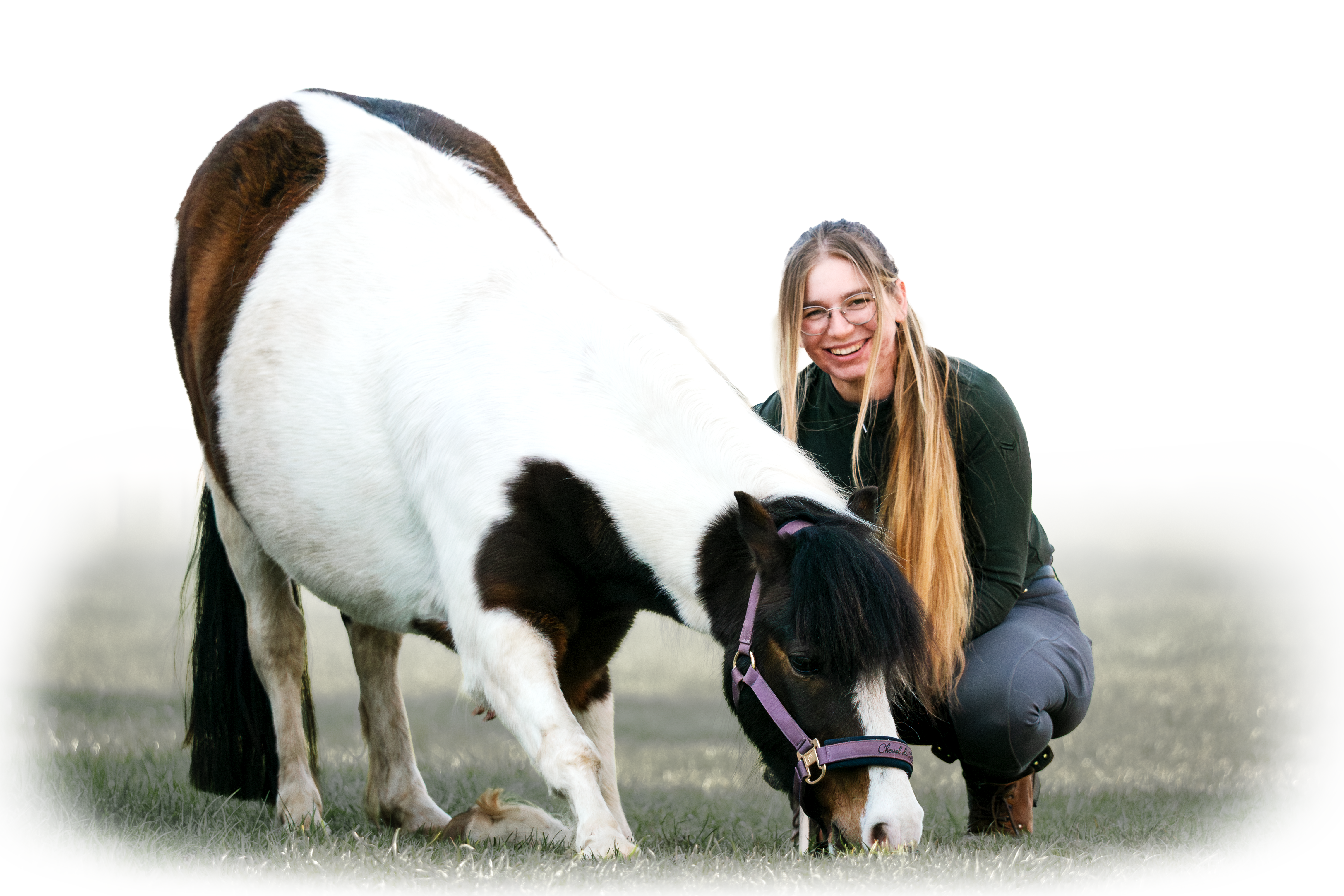 Bella - Reitlehrerin in Düren Merzenich