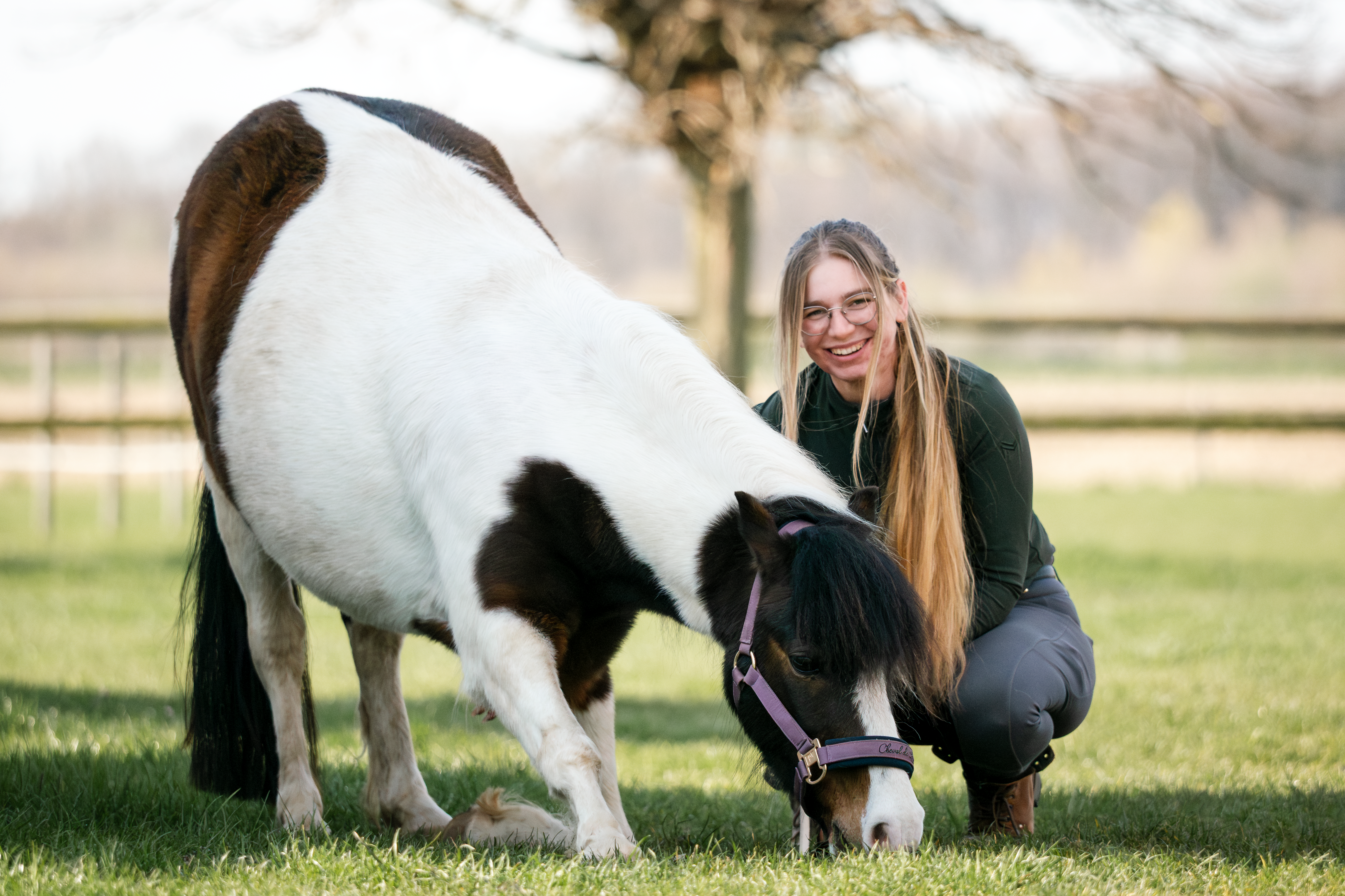 Unser Pony der Kinderreitschule - Pitu