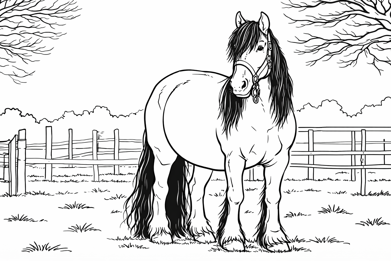 Pferde Ausmalbild - Felix