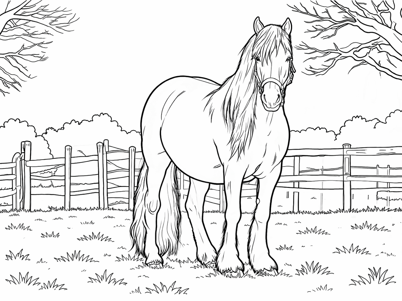 Pferde Ausmalbild - June